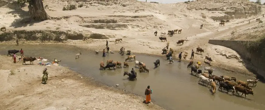 African life at the river