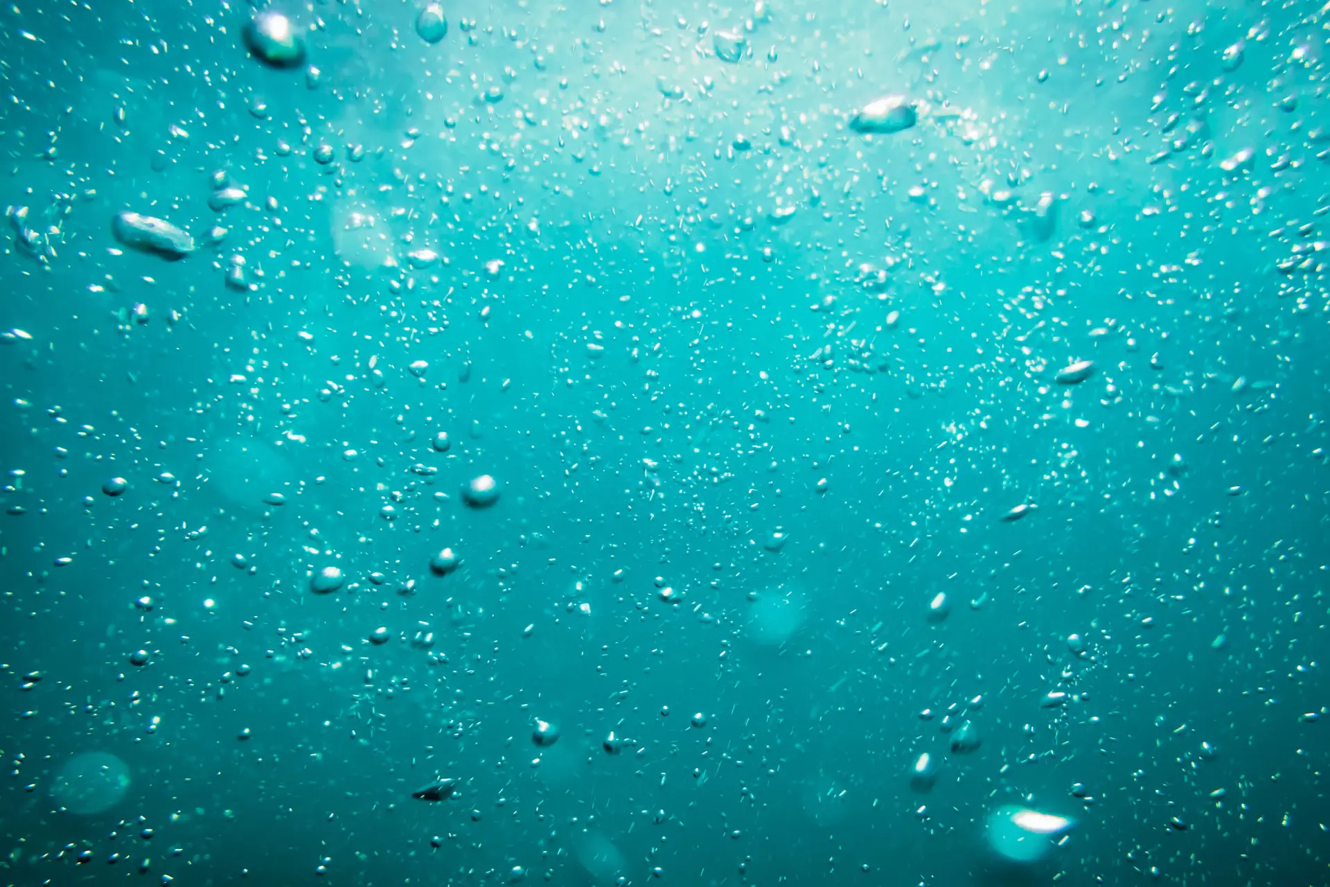 Bubbles floating the the surface of a turquoise body of water