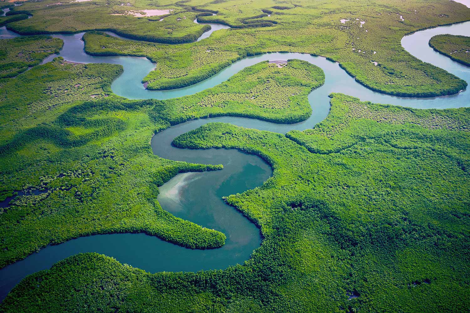 river wining on a large green wet land clearing