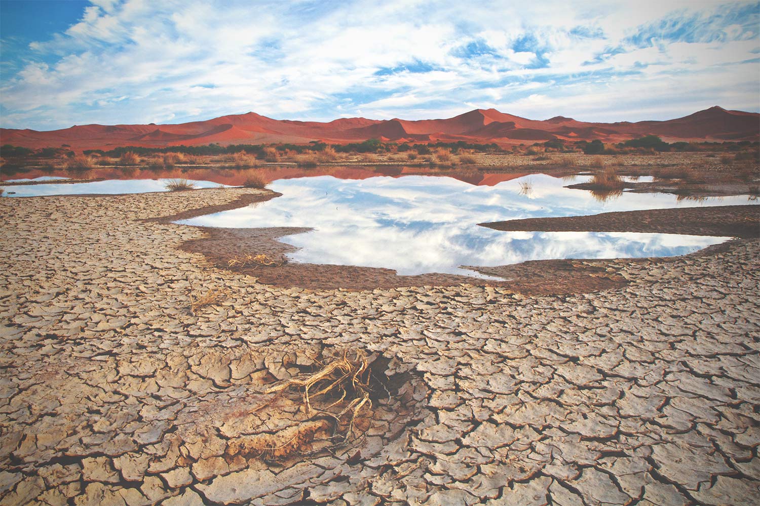 Dessication cracks in a dried-out lake, Namibia.