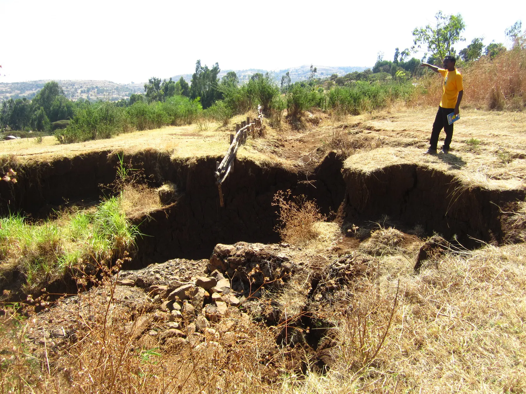 Land resource practitioner on the Rift Valley Lakes Basin in Ethiopia.